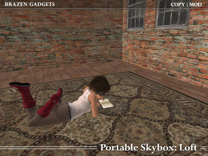 Wearable / Portable Skybox - Loft
