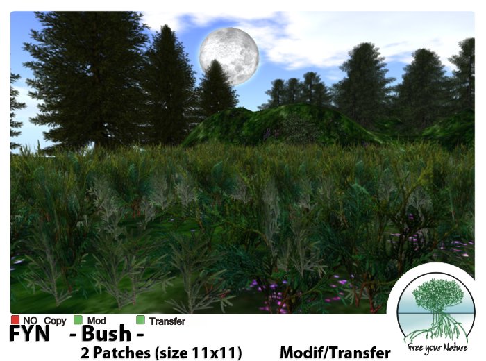 Box FYN - Bush  -