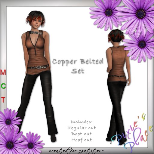 ~PP~ Copper Belted Set for ~petites~