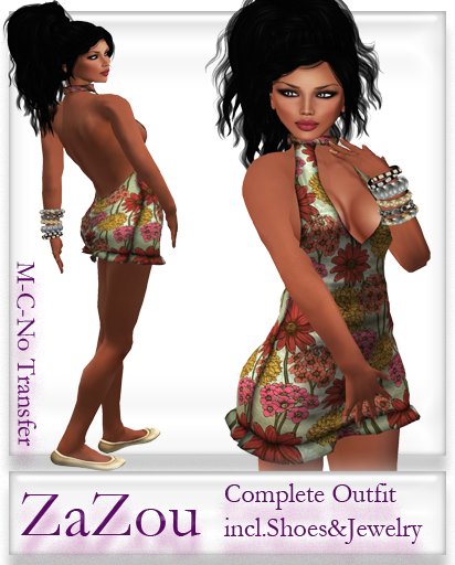 ZaZou Spring Summer Mesh Complete Outfit 2