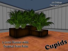 Planters with Small Fern Palms Dark Wood Planters