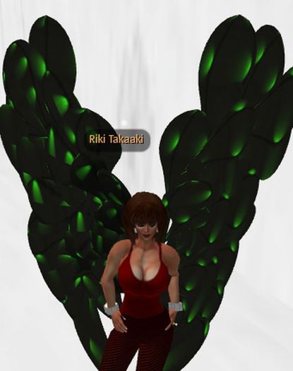 Velvet Green & Black Wing