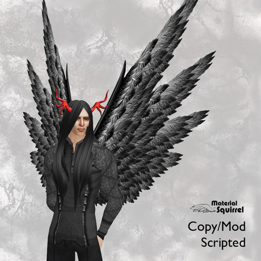 Stryker Wings in Black and White - Flexi Scripted Wings - Gothic Dark Angel or Bird  Wings