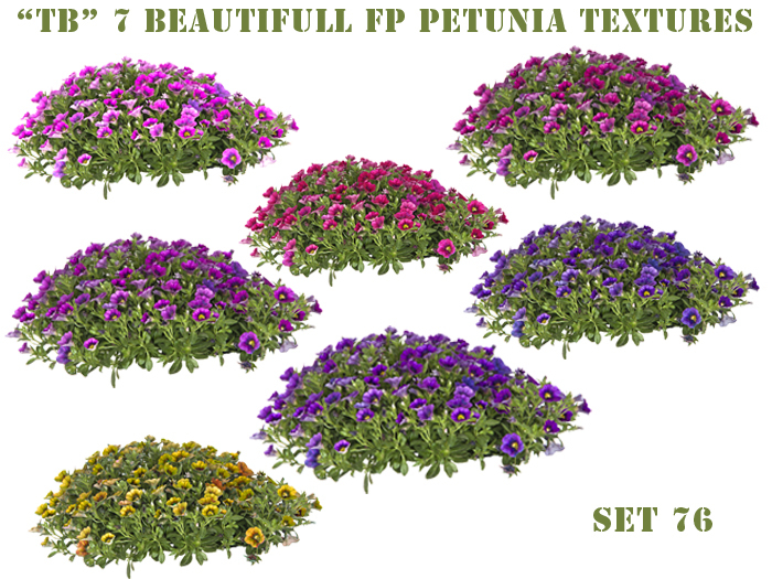 Twice Baked  FP petunia textures with 3D effect set 76