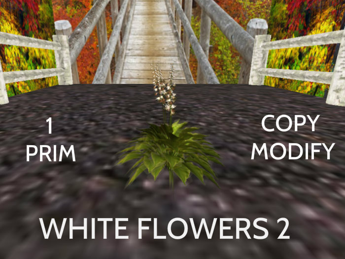 white flowers 2