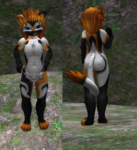 [BG Mod Text] Calico Male