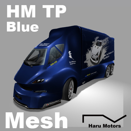 HM TP M Blue 100%Mesh Big Transporter