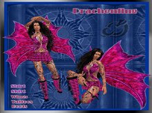 Drachenflug - La Perla - Complete Female Design Neko Outfit - Full Perm - For Resell