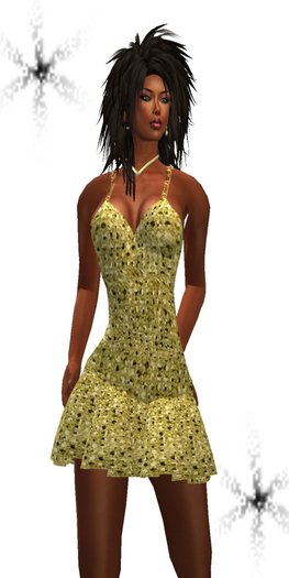 FULL PERM LADIES SUMMER DRESS & ACCESSORIES - 10L