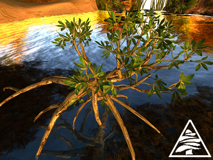 Mangrove 3 prims C/M