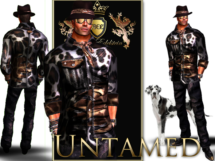 !AEC! UNTAMED - Full Outfit