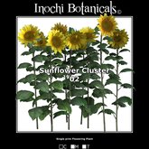 Inochi Botanicals - Sunflower Cluster 02 - One Prim Flowering Plant