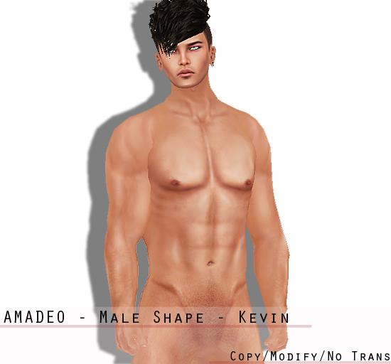 Amadeo - Male Shape - Kevin