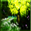 ~Thunmara Forest~ ~Thunmara Forest~