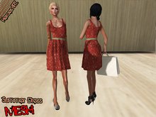 Heroes Art.--Summer Dress- Red with Dots Vintage Edition Collection Mesh Woman Slavless Gown