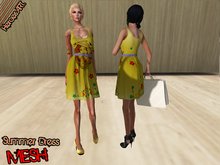 Heroes Art.--Summer Dress- Yellow Painted Fower And Queen Edition Collection Mesh Woman Slavless Gown