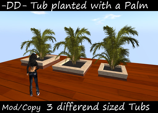 Potted Plant / Planted Palm Tub Editon 5