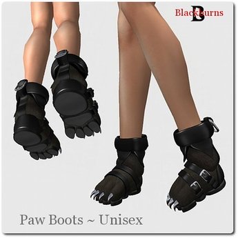 boots and paws