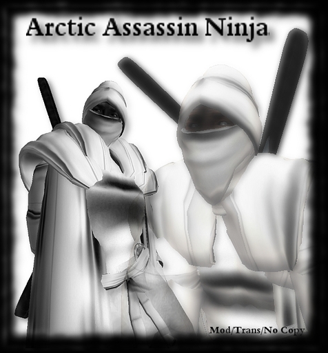 Arctic Assassin Ninja Complete Outfit Costume