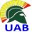 UAB, UltraLight Airship Builders Store