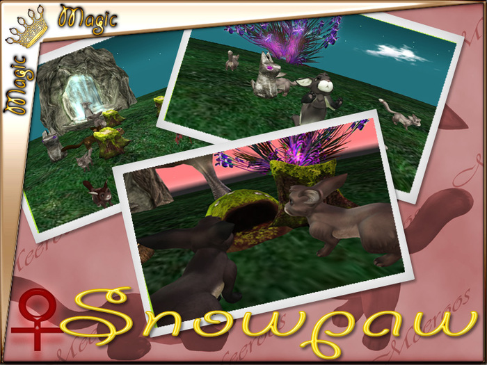 Snowpaw 2T F/Shy/Indigo/4456869 { Multi Traited Super Roo }