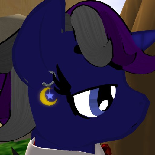 Moon and Star Pony Earrings(Box)