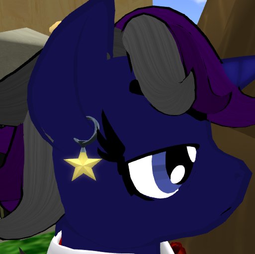 Star Pony Earrings(Box)
