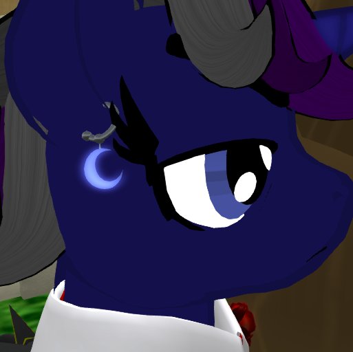 Crescent Moon Pony Earrings(Box)