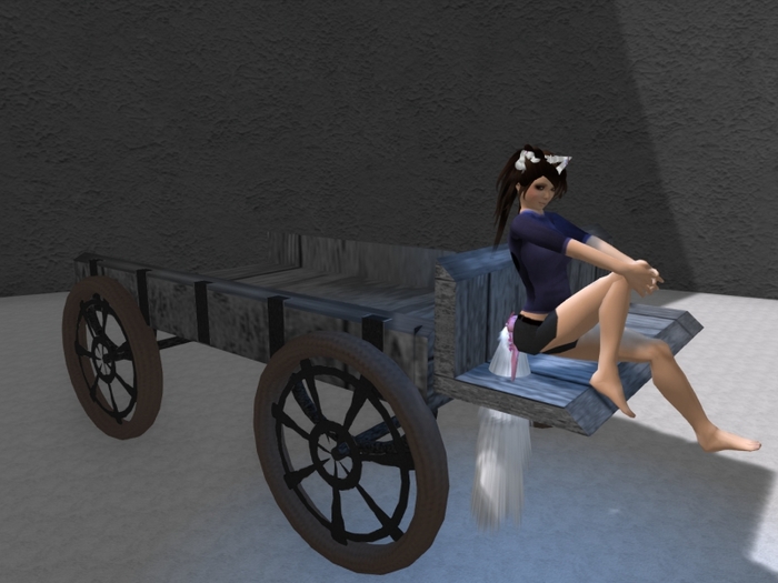  Wagon #2