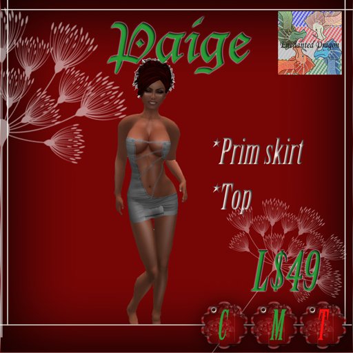 ED Paige Snow 