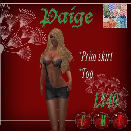 ED Paige Slate
