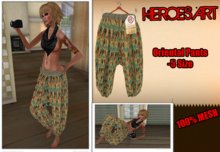Heroes Art.-Oriental Pants- MIllenium Style Woman Mesh Pants Box