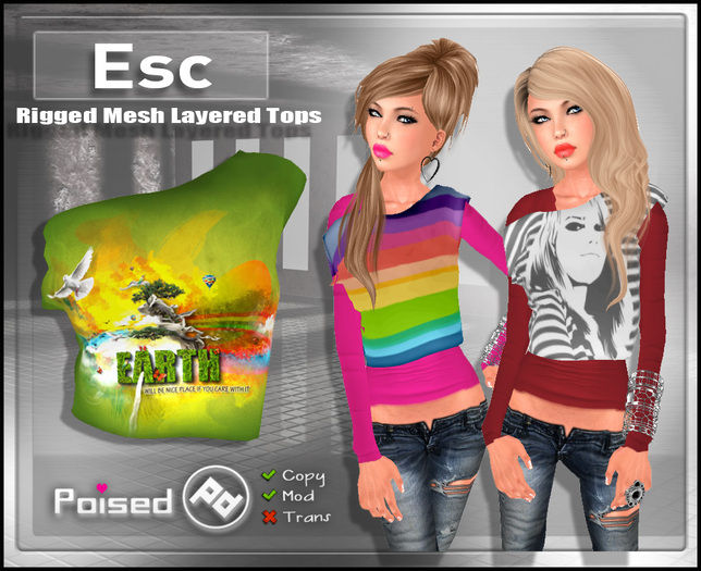 ::Poised:: Esc - Mesh off shoulder top - Earth 