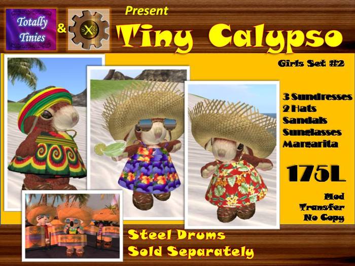 Tiny Calypso Girls Set 2 Box