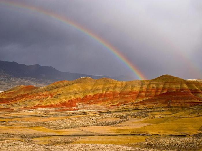 Desert Rainbow Privacy Screen 20x20 Alpha (Boxed)