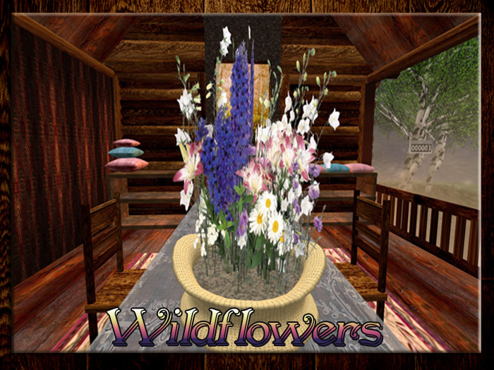 *OD* Wildflowers