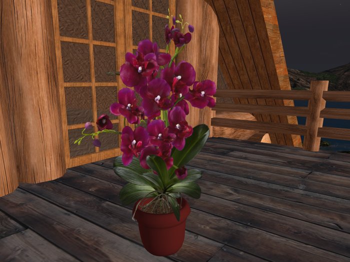 Orchid in a pot - maroon color - primsaver!
