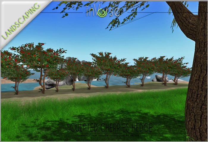 Sculped Cherries Hedge TRANSFER version 