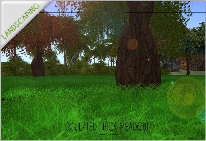 Sculpted square dense meadow COPY version