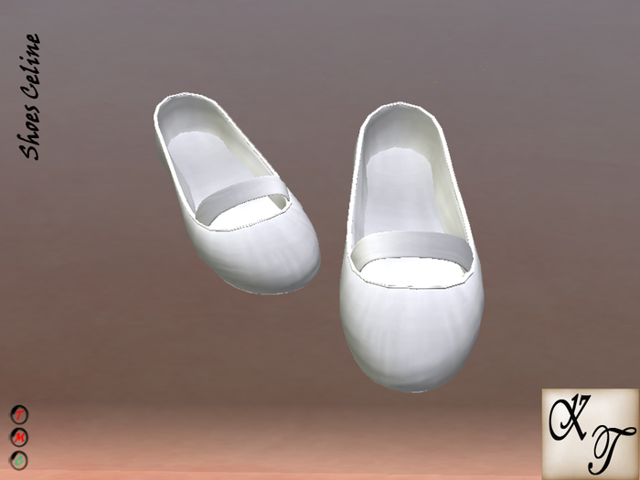 *+:. Shoes Celine .:+*