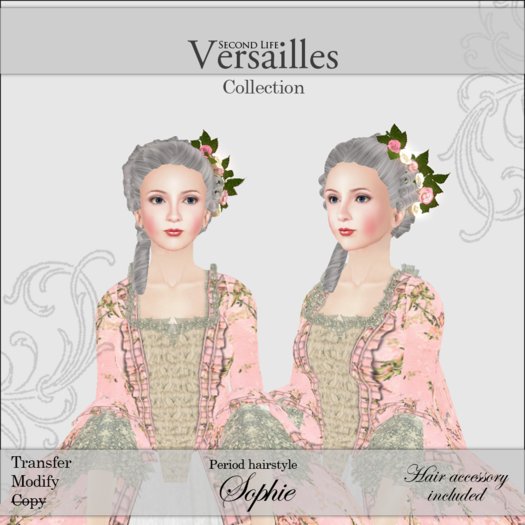 Rococo Hairstyle & Accessory: Sophie