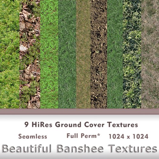Ground Cover 1