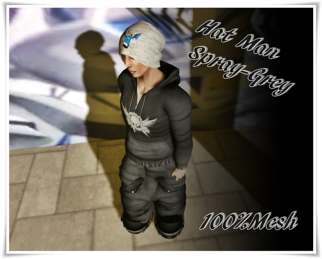[[>CaKe!<]]Mesh-hat men Grey Spray