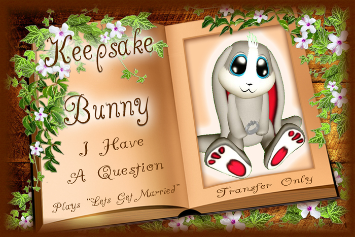 Keepsake Bunny - I Have A Question!