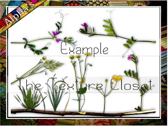 TTC - FLOWER ALPHAS - 5