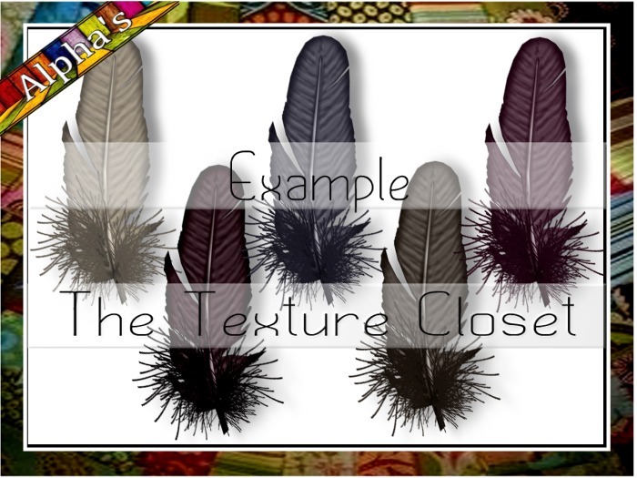 TTC - FEATHERS - 1