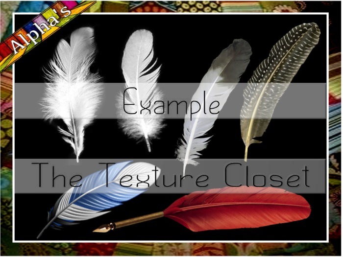 TTC - FEATHERS - 5