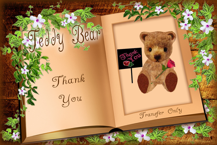 Thank You Bear 