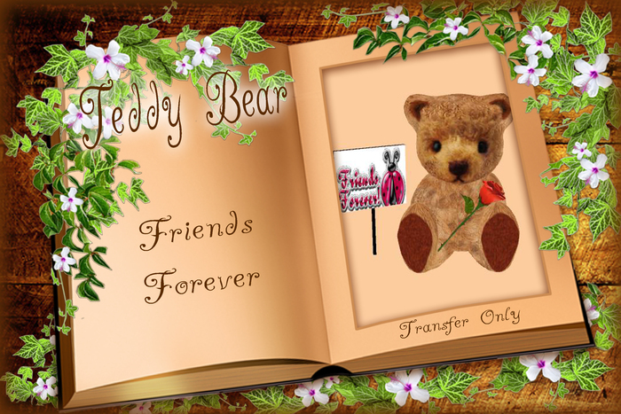 Friends Forever Bear 