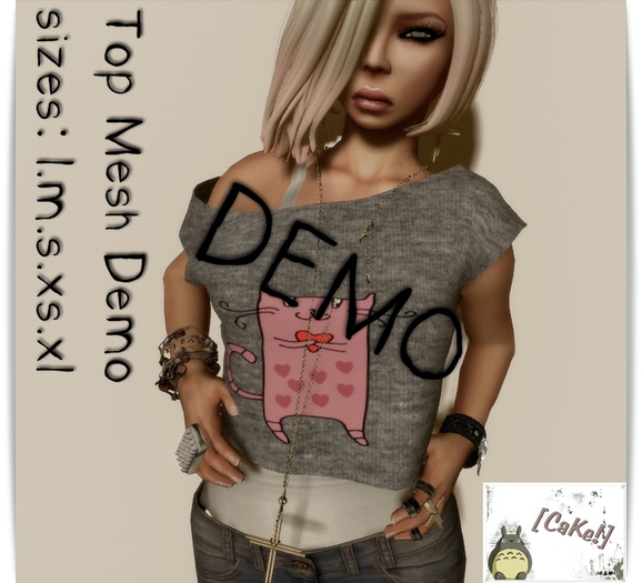 [[>CaKe!<]]Top Demo-Mesh-.
